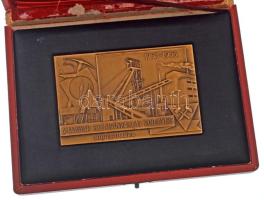 1953. "A magyar szénbányászat 200 éves jubileumára 1753-1953" egyoldalas bronz plakett (65x100mm) sérült dísztokban T:AU