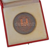 DN "Pekár Imre 1838-1923 / Gabona Tröszt - A gabonaipar szolgálatáért" kétoldalas, vert, b...