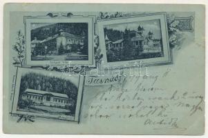 1899 Tusnád, Szegedi villa, Cour Salon gyógyterem, Melegfürdő. Adler A. Brassó / villa, spa. Art Nouveau, floral (EB)
