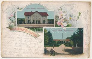 1903 Buziás, vasútállomás, meleg fürdők. Herrling Károly kiadása / Bahnstation, Warme Bäder / railway station, spa, baths. Art Nouveau, floral, litho frame (r)