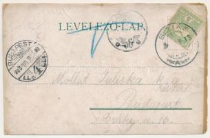 1903 Buziás, vasútállomás, meleg fürdők. Herrling Károly kiadása / Bahnstation, Warme Bäder / railwa...