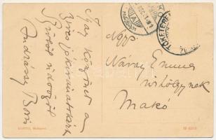 1910 Tőketerebes, Trebisov; Gróf Andrássy kastély, hátoldalon Andrássy Boris (Borbála) grófnő (Palla...