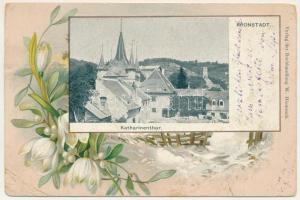 1899 Brassó, Kronstadt, Brasov; Katharinenthor / Katalin kapu, torony. W. Hiemesch kiadása / gates, tower. Art Nouveau, floral, litho frame (r)