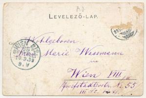 1899 Brassó, Kronstadt, Brasov; Katharinenthor / Katalin kapu, torony. W. Hiemesch kiadása / gates, ...