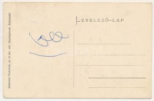 Jósikatelep, Jósikafalva, Béles, Belis; kastély. Joánovics testvérek felvétele / castle (EK)