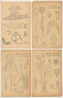 13 db RÉGI megíratlan grafikai képeslap; Dr. Méhes Gyula: Természetrajzi Levelezőlapok / 13 pre-1945 unused graphic postcards; natural science series