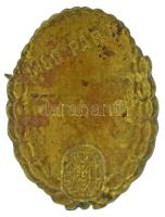 DN (~1945-1949) "Független Kisgazdapárt" bronz jelvény T:VF