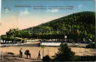 Constantinople, Istanbul; Vue de Dias Kedos á Prinkipo / View of Dias Kedos, Prinkipo (ázott / wet damage)