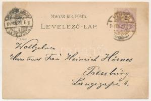 1894 Fiume, Rijeka; látkép. Címeres litho / general view. Lesk u. Schwidernoch Wien No. 261. Art Nou...