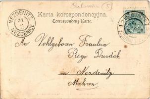 1901 Volkstrachten aus Galizien und Bukowina In Hochszeitstracht / Stroje ludowe Galicyi i Bukowiny....