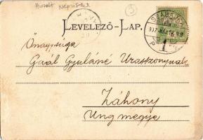 1907 Bunyevác menyasszony és vőlegény. Víg Zsig. Sándor kiadása / Vojvodinan folklore, Bunjevci marr...