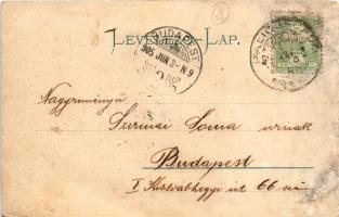 1905 Szabadka, Subotica; Piac részlet, üzletek. Vig Zsigm. Sándor kiadása, montázs / market, shops, ...