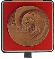 1970. "100 éves a Magyar Meteorológiai Szolgálat 1870-1970" kétoldalas bronz emlékplakett ...