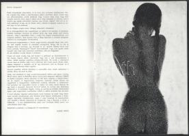 1878 Lussa Vince fotóművész kiállítási katalógusa