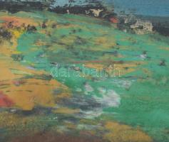 M. Péter János (1941-2009): Sepsiszentgyörgy környéke.. Olaj, karton, üvegezett fa keretben, 11x15 c...