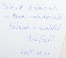 Biró Aurél: Az Isteni Szeretet Leányai Kongregációja (Filiae Divinae Caritatis - FDC) budapesti inté...