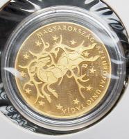 2004. 50.000Ft Au "Magyarország az EU tagja" 13,964g T:PP Csak 7000db!