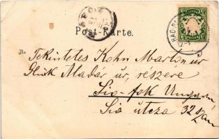 1899 Bad Reichenhall, Brunnkapelle, Gradirhaus. Zugschwertz's Nachfolg. Art Nouveau, floral (EB...
