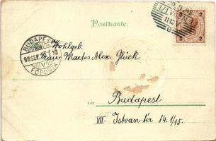 1898 Stadt Wehlen (Sächsischen Schweiz),Amselfall, Kuhstall, Herrnskretschen. Ernst Kühnel Art Nouve...