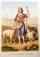 22 db Biblia illusztráció metszet, litográfia 32x45 cm