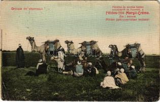 1911 Groupe de chameaux / group of camels, folklore, with Hungarian Földes Margit cream advertisement (EM)