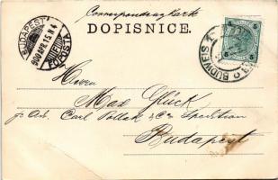 1900 Ceské Budejovice, Budweis; Hlavní námestí. J. Koneczny / main square. shops (EB)