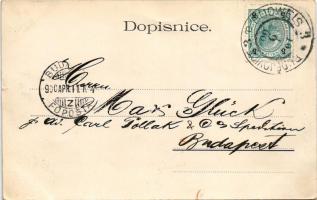 1900 Ceské Budejovice, Budweis; view (EK)