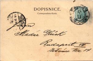 1900 Ceské Budejovice, Budweis; Tabakova Tovarna. H. Seibt v Misni / tobacco factory (EK)