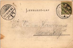 1903 Székesfehérvár, Városi színház. Eisler Adolf kiadása, Art Nouveau (EB)