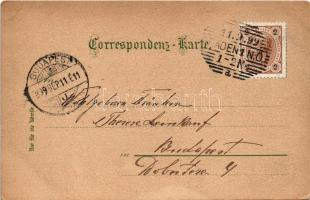 1899 Baden bei Wien (Baden), Kurpromenade, Kurhaus / spa, bath. Druck u. Verlag Louis Glaser 2425. A...