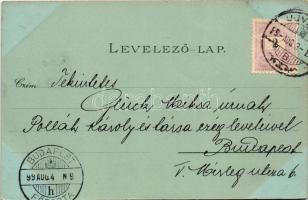 1899 Újvidék, Novi Sad, Neusatz; Rathaus, Donau Gasse, Almascher Kirche, Volksschule, Matica Srpska ...