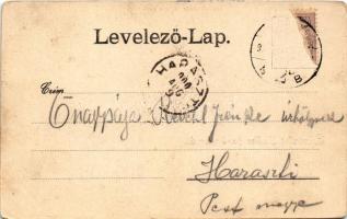 1900 Székesfehérvár, látkép (déli rész). Klökner Péter kiadása (EM)