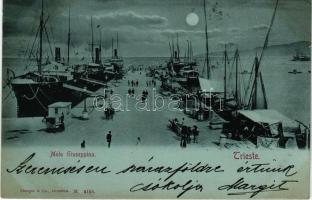 1899 Trieste, Trst, Trieszt; Molo Giuseppina. Stengel &amp; Co. (Dresden) M. 4154. / port at night in moonlight