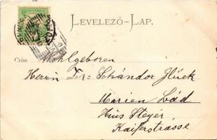 Tót (szlovák) népviselet. Gansel Lipót 72. (Trencsén) / Volkstracht / Slovak folklore, lady in tradi...