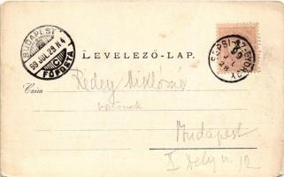 1899 Sepsiszentgyörgy, Sfantu Gheorghe; látkép, híd. Benkő M. kiadása / general view, bridge (EM)