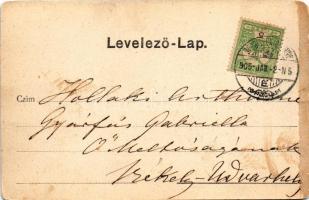 1905 Sepsiszentgyörgy, Sfantu Gheorghe; Potsa park. Benkő M. kiadása / park (EM)