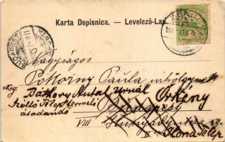 1900 Senj, Zengg; Pogled sa Nehaja. T. Devcic &amp; Comp. (EK)