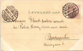 1898 Pozsony, Pressburg, Bratislava; Domkirche, Rathhaus, Maria Theresia denkmal. Zieher Ottmar Münc...