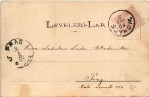 1899 Siklós, Takarékpénztár és hitelegylet, Városháza, üzletek, vár részlet. Feiler Mariska kiadása....