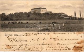 1903 Siklós, vár. Feiler Mariska kiadása (fl)