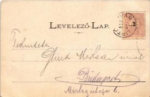 1900 Liptóújvár, Liptó-Újvár, Liptovsky Hrádok (Tátra); Várrom / Burgruine / castle ruins (EK)