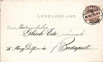 1898 Kolozsvár, Cluj; Főtéri templom, Központi szálloda, Bánffy palota, Fellegvár, Rigó Árpád üzlete...