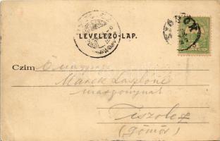 1902 Siófok, Közös fürdőház. Ellinger Ede cs. és kir. udvari fényképész kiadása (felületi sérülés / ...