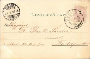 1899 Buziás, Buziásfürdő, Baile Buzias; Gyógyterem, József-forrás, szökőkút, Fasor a meleg fürdőhöz....