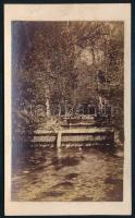cca 1870 Patak fa gáttal és híddal, keményhátú fotó, 10,5×6,5 cm