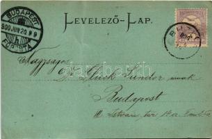 1900 Buziás, Buziásfürdő, Baile Buzias; Bazar. Georg Trautmann / szálloda / hotel (fa)