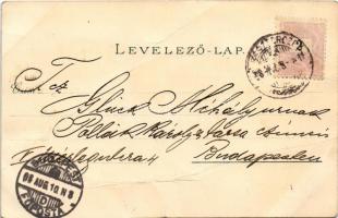 1898 Beszterce, Bistritz, Bistrita; látkép, Iparosegylet székháza, Evangélikus templom / Gewerbe-Ver...