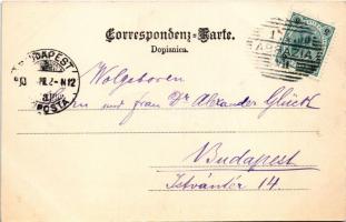 1900 Abbazia, Opatija; Hotel und Pension Quisisana / hotel