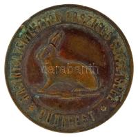 1913. "Házinyúltenyésztők Országos Szövetsége-Budapest / Az érdem jeléül-Budapest 1913" bronz kétoldalas érdemérem (40mm) T:XF patina, ph.
