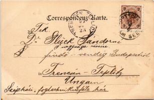 1897 Pörtschach am Wörthersee, Ferd. v. Kleinmayr / view (fl)